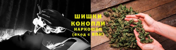гашик Белокуриха