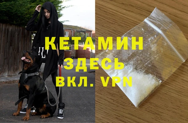 сатива Богданович