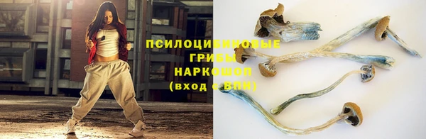 гашик Белокуриха
