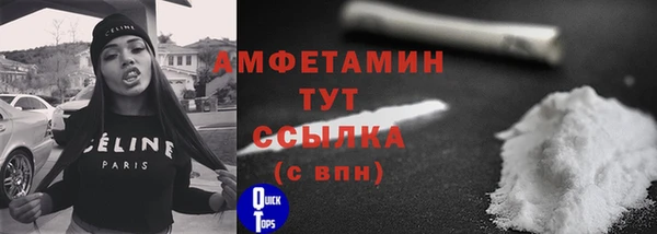 сатива Богданович