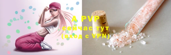 гашик Белокуриха