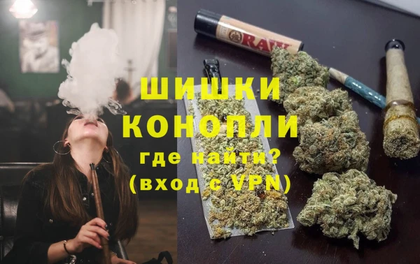 гашик Белокуриха