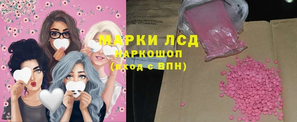 гашик Белокуриха